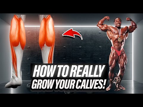 Lee Haney on The Best Training Program & How to Really Grow Your Calves!