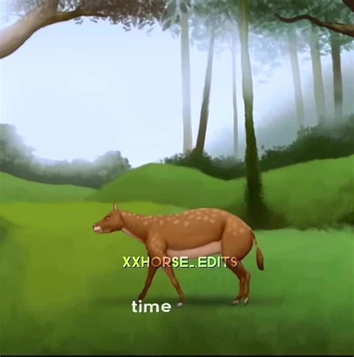 They’ve changed so much😳 #horses #evolution