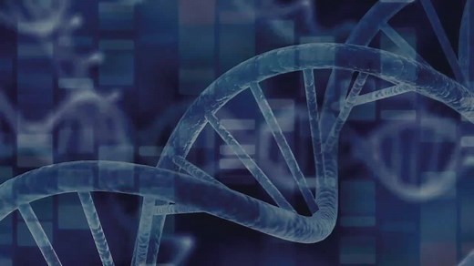 Anne Elk discusses Brontosauruses. Live at The O2 Arena, 5 July 2014. | John Cleese