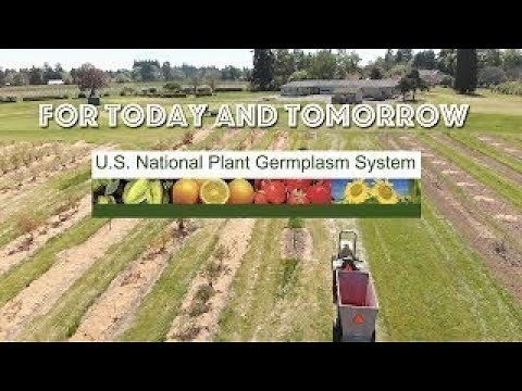 The U.S. National Plant Germplasm System - An Overview