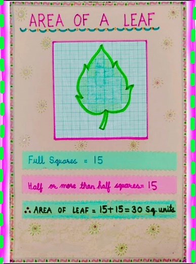 How to Find the Area of a Leaf 🌿 | Measure Leaf Area | Calculate Area Of Irregular Shapes