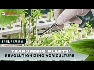 Transgenic Plants: Revolutionizing Agriculture | GM Crops for Food Security & Climate Resilience