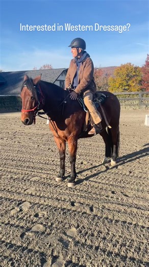 We’re one of the few barns offering Western Dressage lessons in Northern Virginia… #westerndressage #horses #arenalife #fyp #explorepage #equestrian #haymarketfarm #ridinglessons #haymarketva #haymarket #lanternlanefarmva #lanternlanefarm_va | Lantern Lane Farm