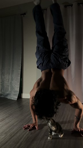 aspose (@aspose)’s videos with original sound - Musq52