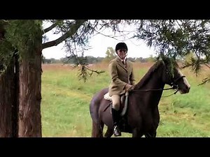 Fox hunting in Virginia