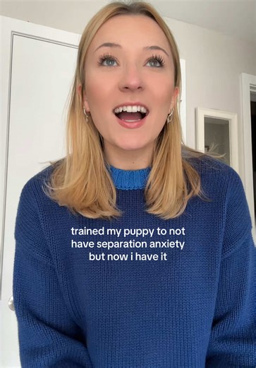 i’m going to cry #puppy #miniaturecockapoo #minicockapoo #puppylife #grooming