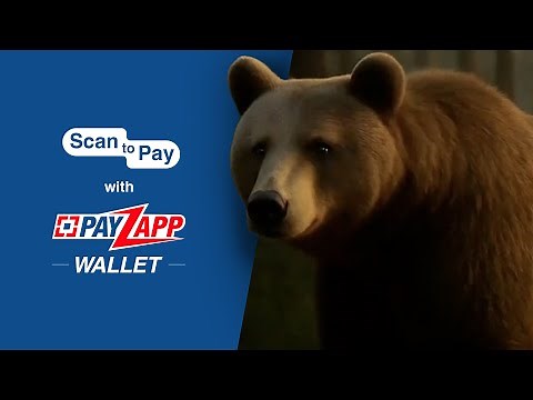 Pay with PayZapp Wallet on any QR—no PIN required, just superfast payments.