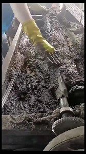 29M views · 6.3K reactions | So nice technology Our group: Amazing World | Magic Wood | Facebook