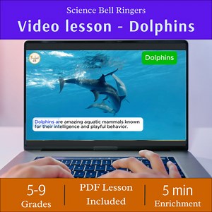 Science bell ringer video (4 min) - Dolphins - Middle school