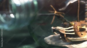Close Up of Artist Painting Details on Miniature Ship Inside Glass Bottle
