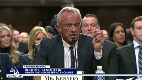RFK Jr. testifies at confirmation hearing