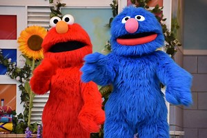 Elmo is feuding with a rock and it's hilarious