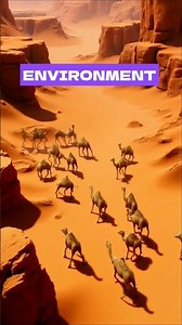How Camels Master the Extreme Desert Life!