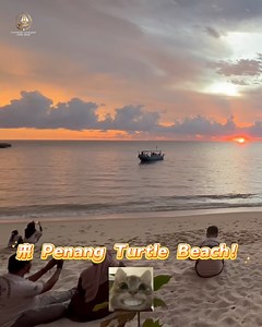 5小时海上疗愈旅程，最适合亲子＋闺蜜出游！ 「原来放生小海龟可以这么疗愈🐢🌊」 想放松、想放空、又想带家人朋友留下回忆？ 这趟 Penang 出海体验包吃包玩，真的爆值‼️🥰 行程内容超丰富！ ✨ 烧烤美食自助餐 & 饮料无限畅饮 ✨ Jacuzzi拖网体验，跳海玩水，皮划艇漂浮～ ✨ 国家公园海龟保育中心参观 ✨ 最治愈的环节：亲手放生小海龟，看它们慢慢爬向大海 ✨ 冷气卡拉OK房，最爱的放松环节 ✨ 打卡槟城热门景点 ｜水上清真寺、古灯塔、蓝天白云超出片 不想飞出国但又想“出国感”？ 这趟Penang出海真的满分 📩 现在就私聊解行程＆预约详情吧！ ☎️ http://wa.me/601165696191 🔗 www.chorusleisure.com #槟城游艇 #豪华游艇体验 #槟城一日游 #海上烧烤 #水上活动 #槟城旅游 #马来西亚旅游 #槟城必打卡 #海龟海滩 #超Chill出海体验 #MalaysiaHoliday #PenangTrip #ChorusCruise | Chorus Cruise
