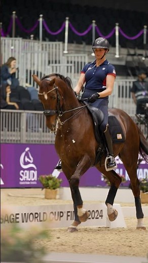 Make way for the stunning FEI Dressage World Cup horses 🔥🤩