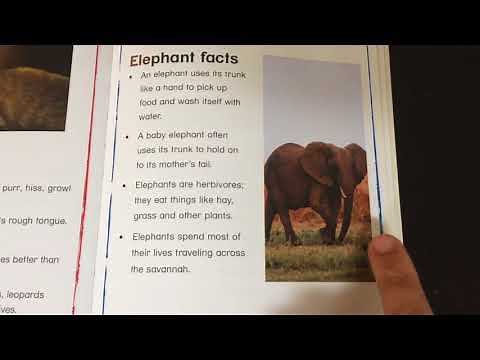 Animals:Elephant, Baby Einstein, Let’s Learn