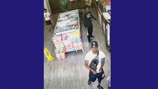 Ridgeland police seek suspects in auto burglary case
