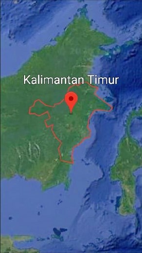 Inilah 5 Provinsi Dengan Luas Hutan Tanama Industri (HTI) Terbesar di Indonesia!? #faktaunik#shorts