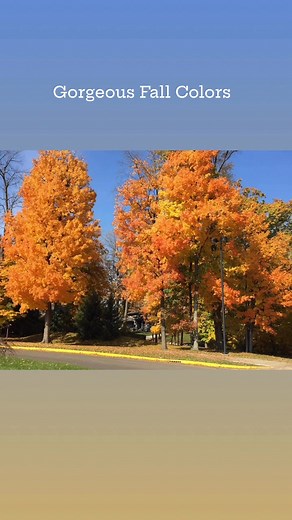 Carla Taylor on Reels