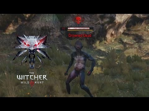 The Witcher 3: OP Build - Level 20 Quen and Igni