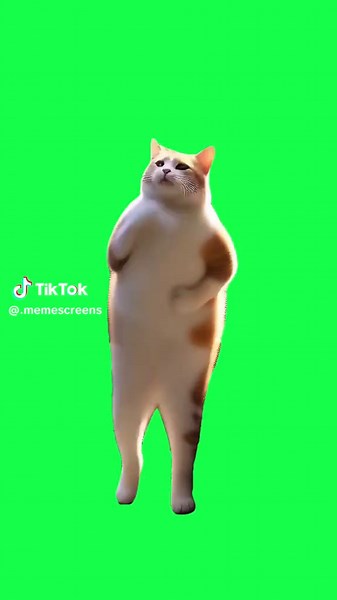 Green screen meme template of a dancing cat — perfect for upbeat edits, reaction videos, and any clip that needs instant cute, chaotic energy. Import into CapCut, remove the green background, and sync the cat’s moves with trending audio or your own footage to create a fun, viral moment. Use this CapCut green screen template to boost your next meme with classic dancing-cat charm. #CapCutGreenScreen #CatMeme #DancingCat #MemeTemplate #FunnyEdit