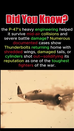 The Fighter Pilots Trusted During Dangerous Missions #WW2Facts #P47Trust #MilitaryAviation #ww2