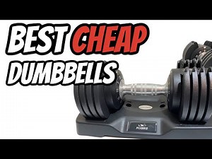BEST CHEAP ADJUSTABLE DUMBBELLS FOR BEGINNERS! Home Gym 25lb FlyBird Dumbbell Set garage gym weights