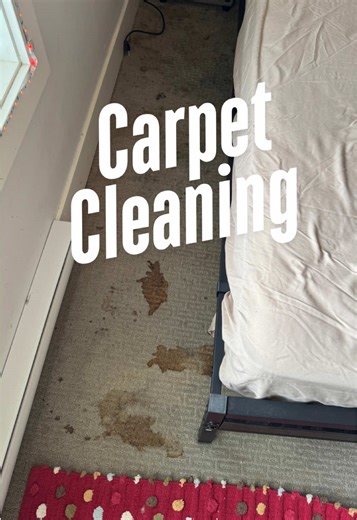 Effective Carpet Cleaning Tips for a Fresh Home