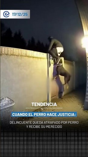 Delincuente queda atrapado por perro y recibe su merecido