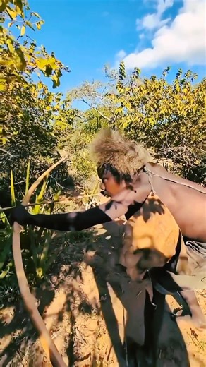 ​🏹 Caça Selvagem: Traditional Bow Hunting🐗#shorts #wildlife