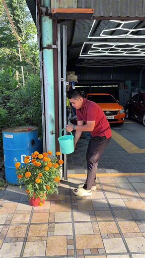 Tẩy nhựa cây trên kính lái mùng 3 Tết 2026 quá êm ae ơi #TetGiuLua #khanh_paint #songdansaigon #innovakhanhpaint #tayokinh