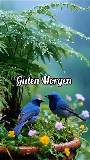 Guten Morgen Grüße ☕