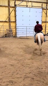 Gun Smoke, Id consider him a restart at this point. He just protested in not being ahead of the leg and the owner did warn me that he struggles going left. We got him set up on straight and narrow now. Hes going to be a cool gelding. | Lucia Lhotak Performance Horses