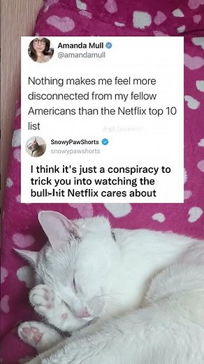 Netflix Top 10 List Reveals What Americans Actually Watch