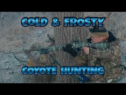 Winter Coyote Hunting in Cold & Frosty Conditions