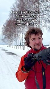 Tancho Tango #Japan #hokkaido | Daniel Kordan