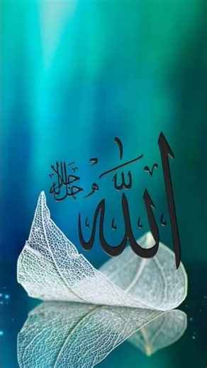 #love #alahazratkalambyowaisrazaqadri #alllah #beautiful #nature #hijabi