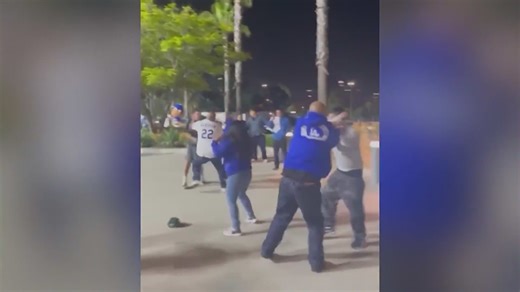 Video captured brawl at Dodger Stadium
