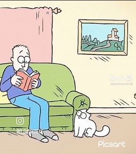 28K views · 193 reactions | Who's scared of spiders?  Who reacts this way? #funnyvideo #spider #spiders #comedy #reaction | Smile and laugh, Adults only | Facebook