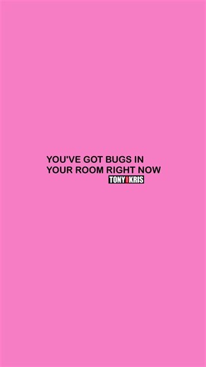 A #TONYANDKRIS study found every room in your house is INFESTED with bugs. Researchers studied 554 rooms in 50 different houses, and there were insects in all but five rooms. They're mostly harmless, and the most common are cobweb spiders and carpet beetles. #bugs #insects