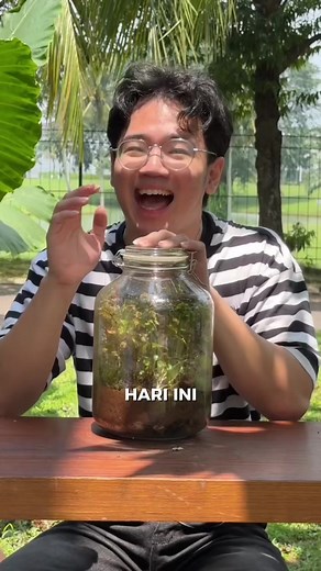 Membuka Ekosistem Terarium Tertutup dengan Hewan Baru
