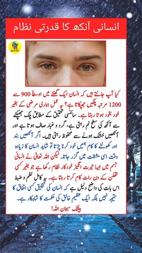 Why Humans Blink 1,000 Times an Hour | Science Explained