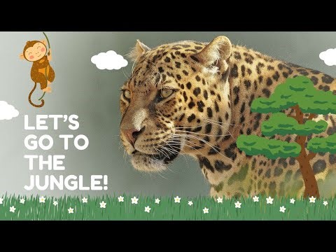 "The Mighty Tiger 🐅 | Inspiring Jungle Story for Kids