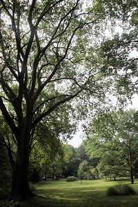 5 Small Changes You Can Make to Help the Environment