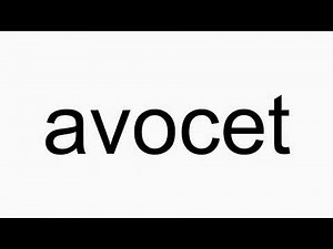 How to pronounce avocet