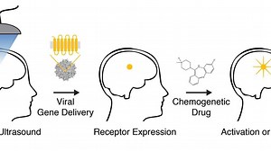 Darpa, Nano, Mind Control, Dreadds, Chemogenetics, Hive Mind