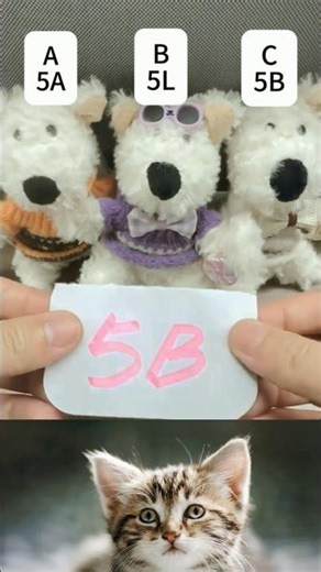 funny video creative commons🙂 #shorts #funny #creativecommons