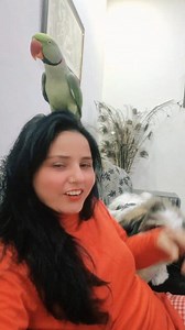 243K views · 9.7K reactions | Parrot Mummy ka Love ❤️ | Pablo Family | Facebook