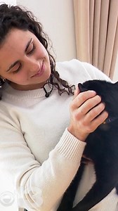 They say cats live nine lives, and for “Stuart,” his have been full of adventure. After almost a decade, he's back in his owner's arms. STORY: http://tinyurl.com/44xddcan | WGME CBS 13 News, Portland