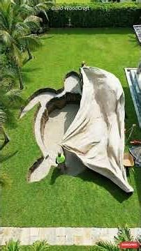 I Built a Sea Turtle Pool From Scratch 🐢💦 #shorts